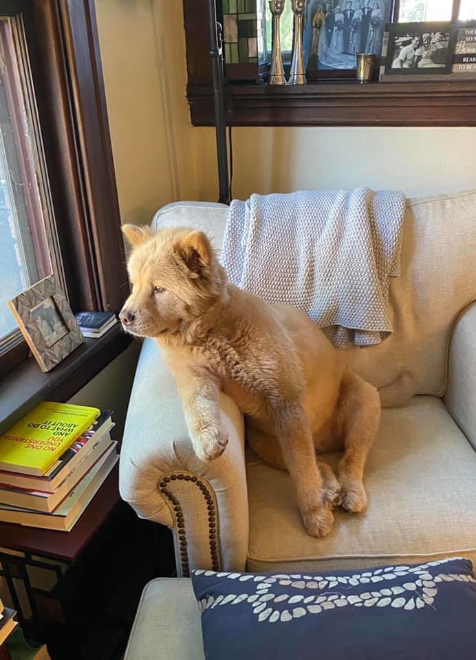 Penelope